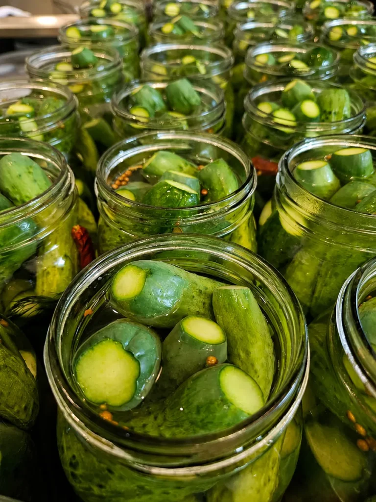 Fresh cucumbers packed in jars during pickle production at Neufeld Farm Fresh